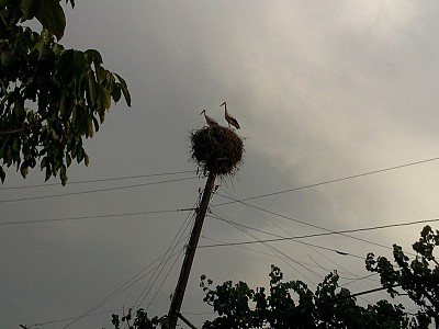 Интервью из Вильнюса в дни Саммита Восточного Партнёрства