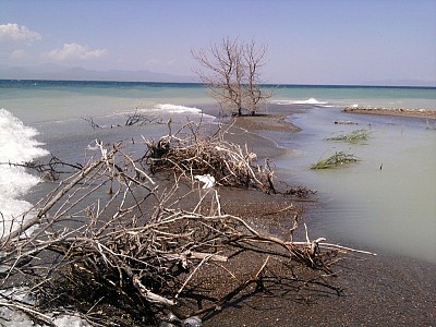 О столкновении парадигм
