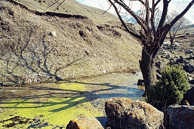 Thinking about the future of South Caucasus