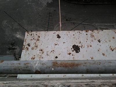 About the Eurasian Union