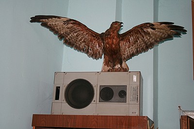 Հանրային կարծիք և կարծրատիպեր