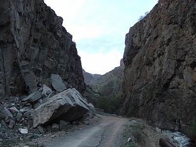 Песнь сиротливого барашка