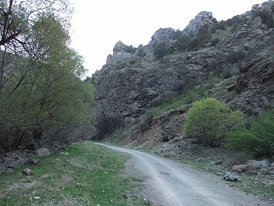 New standards of literature