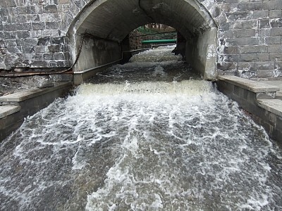 An interview for the 'Human' project