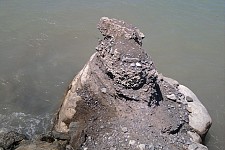 Creating a scandal to make a point (2013)