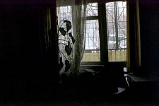 Explaining Armenia: An Insider's View