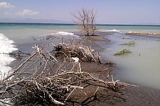 On the paradigm clash