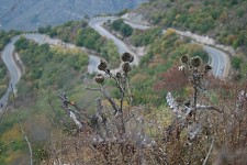 Notes on some novels