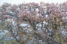 Our Strategies: Creativity Fundamentalism