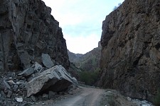 The Song of the Orphan Lamb