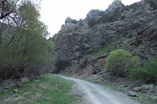 New standards of literature