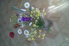 Translation of terms, etc