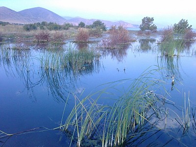 Social Construction of a Conflict (1996, 2011)